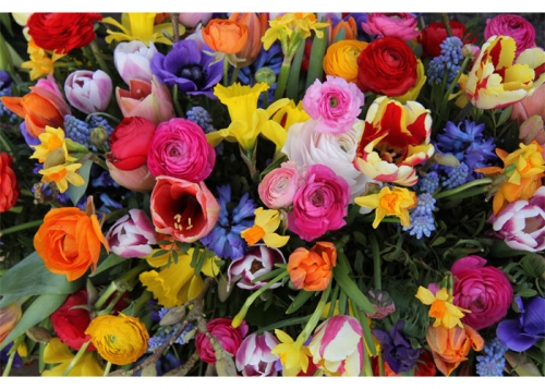 Flower Shop Flooring Decor