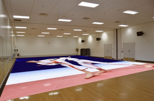 Sport Flooring Decor