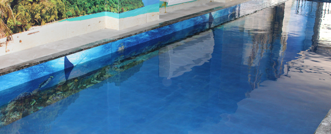PVC pool membrane